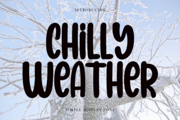 Chilly Weather: A Script Font for Editorial Elegance