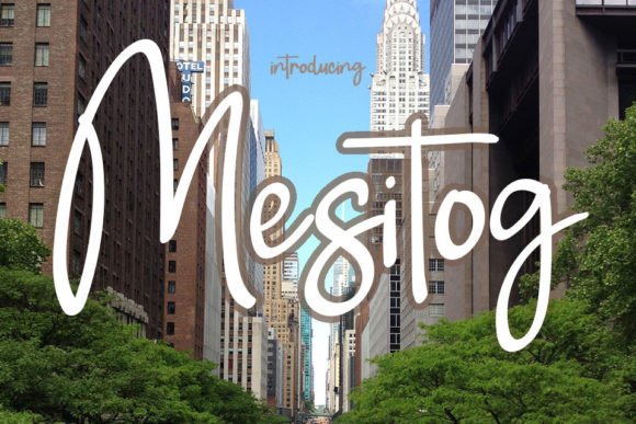 Font That Speaks: How Mesitog Elevates Your Campaigns