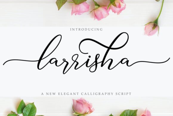 Larrisha Script for Branding Projects
